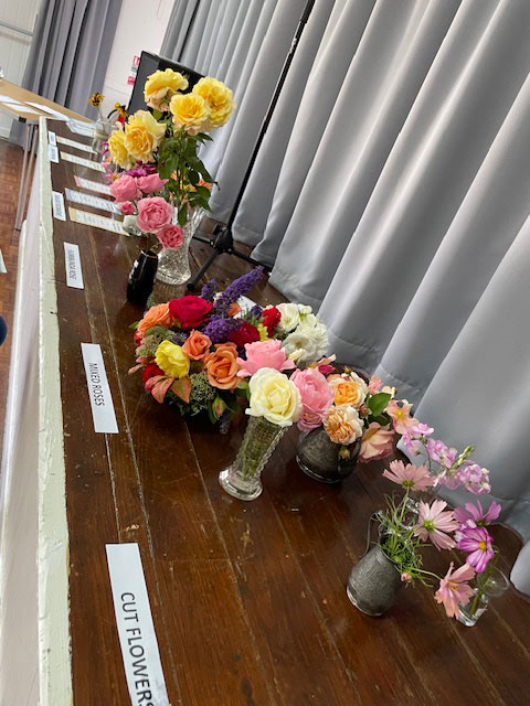 Great Gidding Village Show 2025