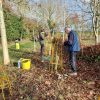 Jubilee wood winter update