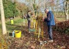 Jubilee wood winter update