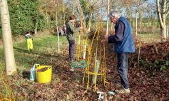 Jubilee wood winter update