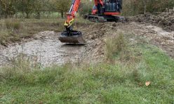 The Jubilee wood pond gets a makeover
