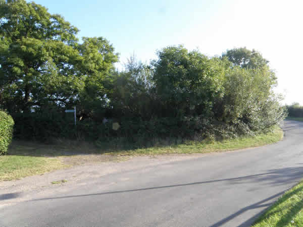 Thanks to an Environmental grant from Huntingdonshire District Council, Chapel End pond has been cleared, dredged and reinstated with a smart post and rail fence