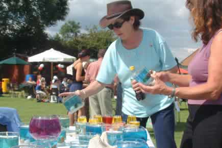 Great Gidding Village Fete and Sports Day 2002