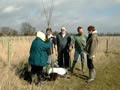 Donated specimen trees planted in Millennium Wood