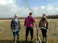 Donated specimen trees planted in Millennium Wood