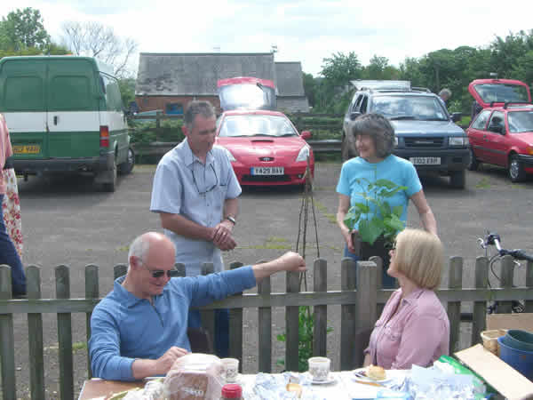 Gidding Plant Sale May 2007