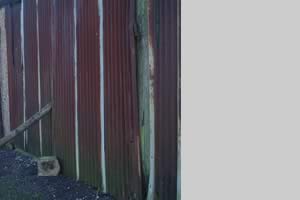 corrugated iron for restoration