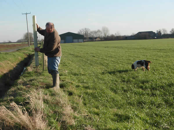 Trees from the county council being planted around the Parish