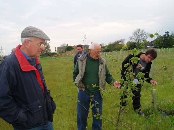 The Millennium Wood Update May 05